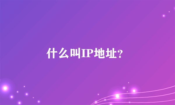 什么叫IP地址？