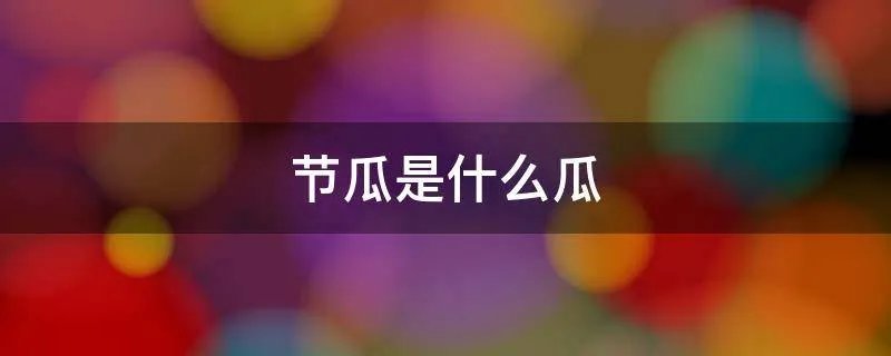 节瓜是什么瓜