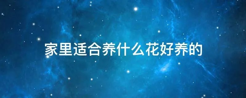 家里适合养什么花好养的