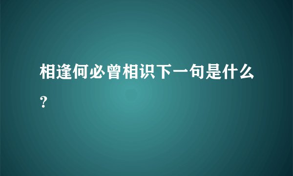 相逢何必曾相识下一句是什么？