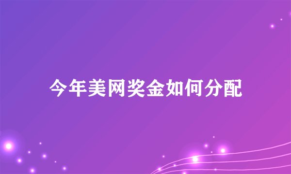 今年美网奖金如何分配