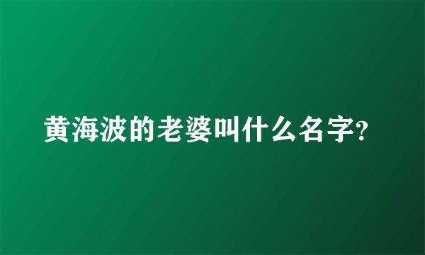 黄海波的老婆叫什么名字？
