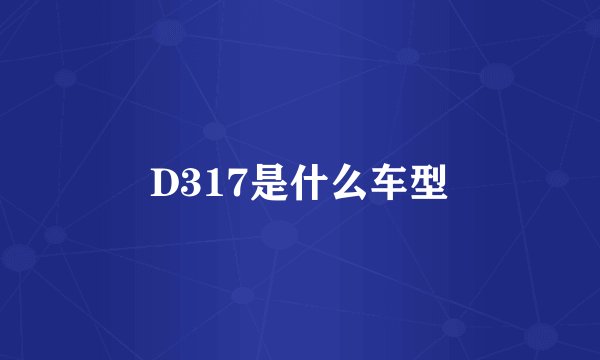 D317是什么车型