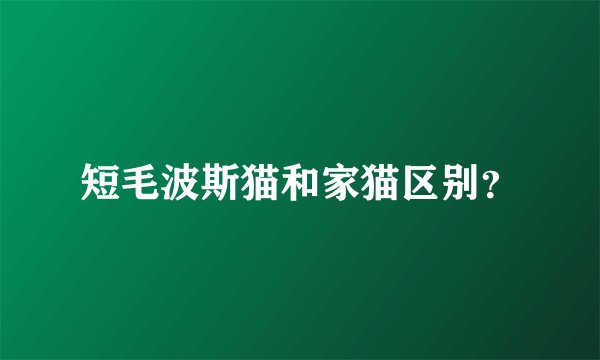 短毛波斯猫和家猫区别？