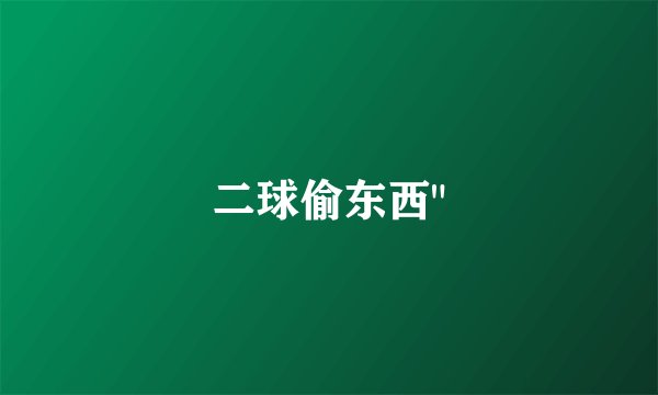 二球偷东西