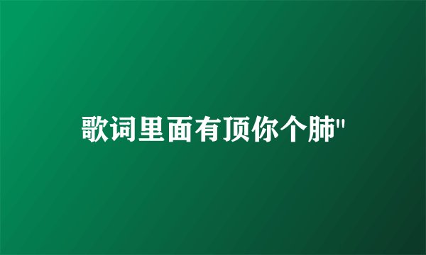 歌词里面有顶你个肺