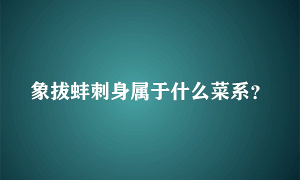 象拔蚌刺身属于什么菜系？
