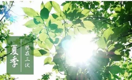 今天是头伏吗