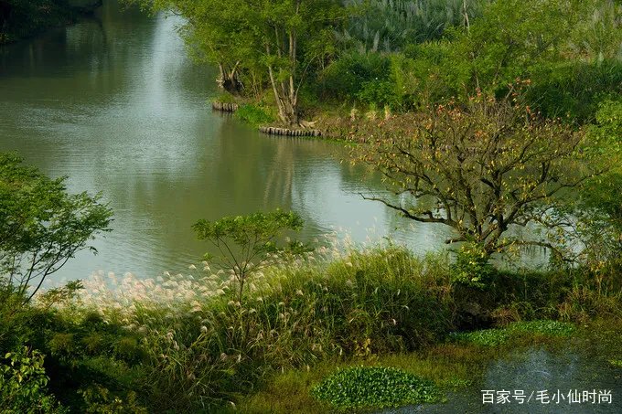 西溪湿地·洪园怎么逛?