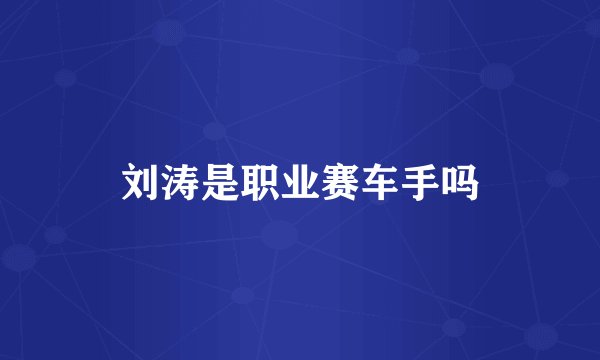 刘涛是职业赛车手吗