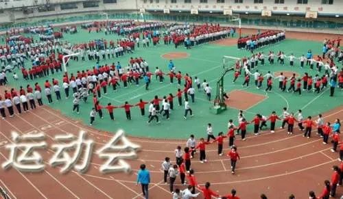 运动会作文