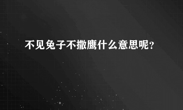 不见兔子不撒鹰什么意思呢？