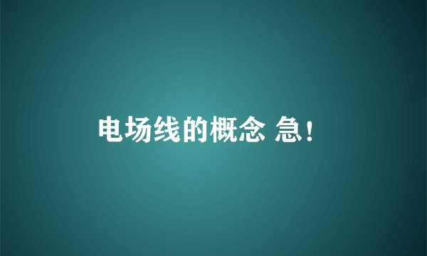 电场线的概念 急！