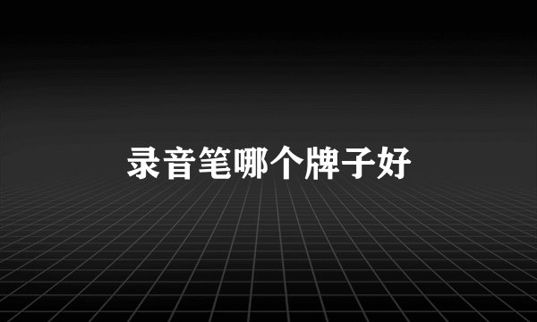 录音笔哪个牌子好