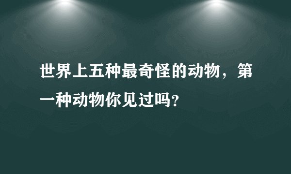 世界上五种最奇怪的动物，第一种动物你见过吗？