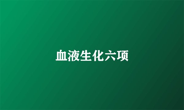 血液生化六项