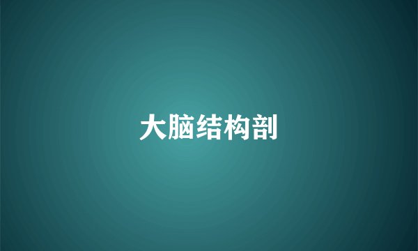 大脑结构剖