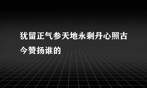 犹留正气参天地永剩丹心照古今赞扬谁的