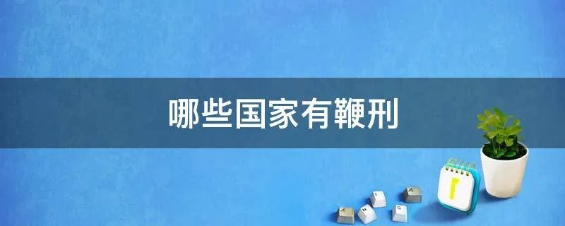 哪些国家有鞭刑