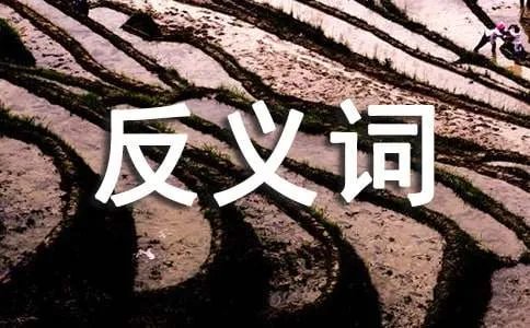 踌躇的反义词