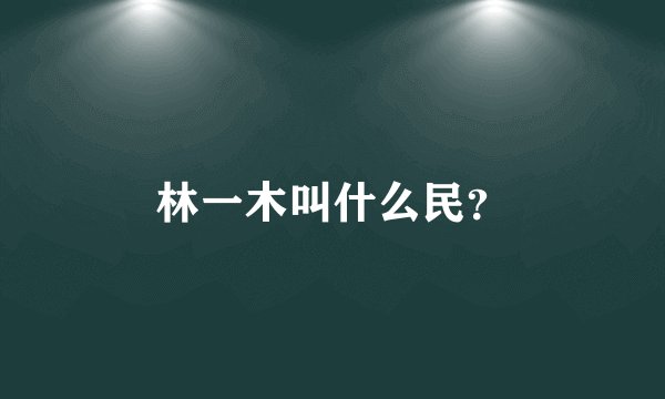 林一木叫什么民？
