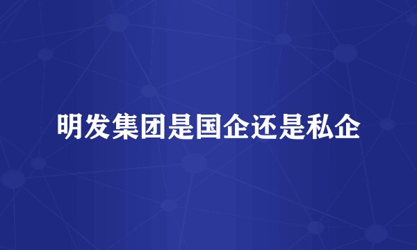 明发集团是国企还是私企