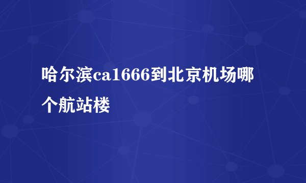 哈尔滨ca1666到北京机场哪个航站楼