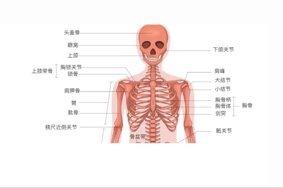 相关推荐
