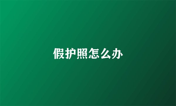 假护照怎么办