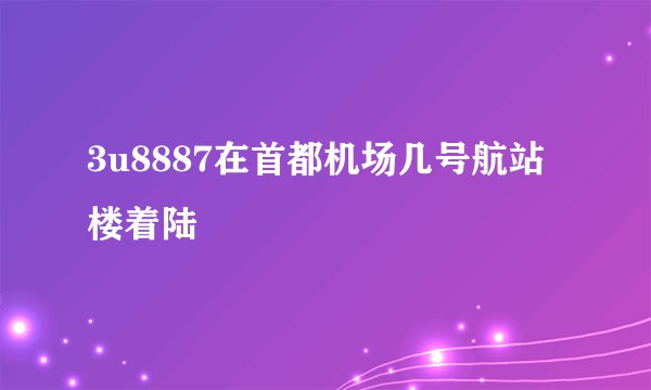 3u8887在首都机场几号航站楼着陆