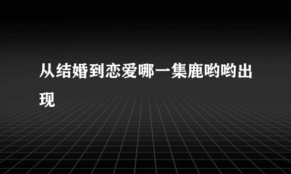 从结婚到恋爱哪一集鹿哟哟出现