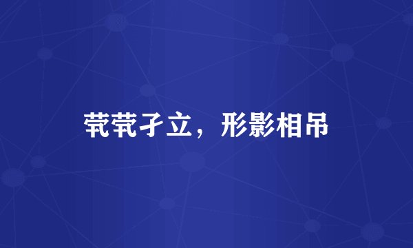茕茕孑立，形影相吊