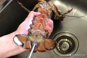 清蒸波士顿龙虾做法?