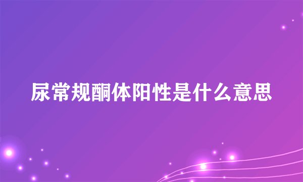 尿常规酮体阳性是什么意思