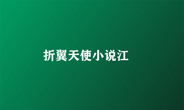 折翼天使小说江漁