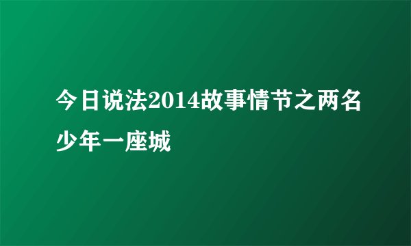 今日说法2014故事情节之两名少年一座城