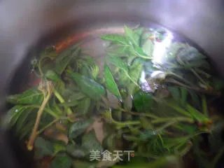 香椿拌豆腐