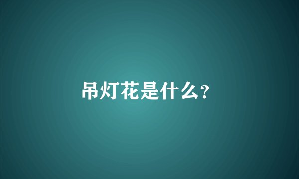 吊灯花是什么?