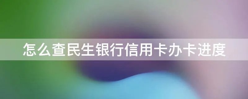 怎么查民生银行信用卡办卡进度
