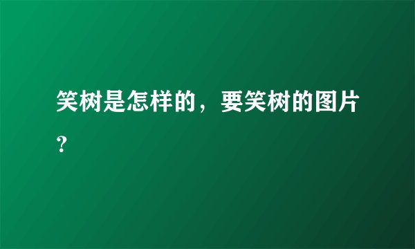 笑树是怎样的，要笑树的图片？
