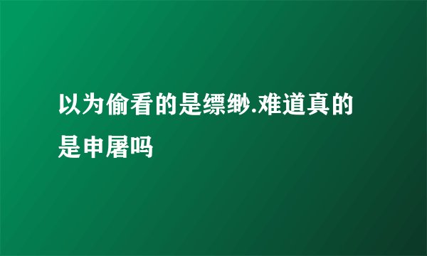 以为偷看的是缥缈.难道真的是申屠吗