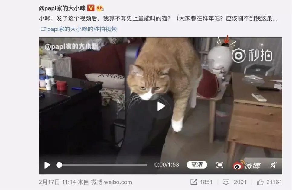 那些不被岁月侵染的女神们,都想收到什么礼物?