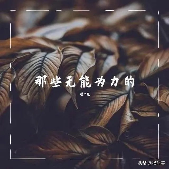 张艺谋和陈婷生了三个孩子,被罚748万。三孩政策出台还会生吗?