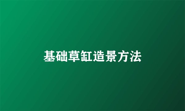 基础草缸造景方法