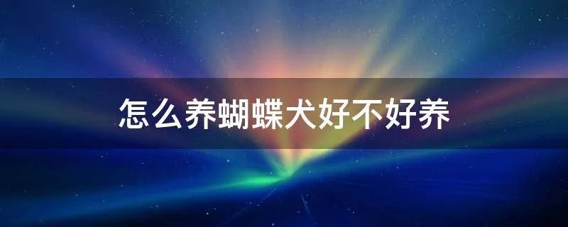 怎么养蝴蝶犬好不好养