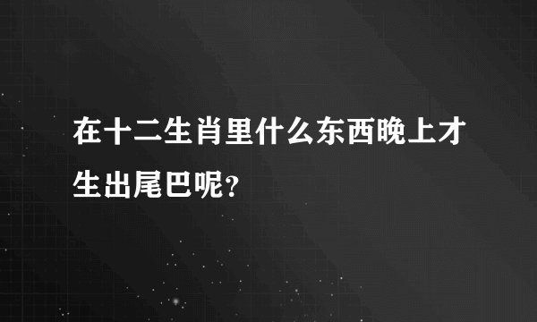 在十二生肖里什么东西晚上才生出尾巴呢？