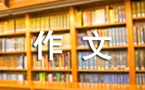 难忘的经历作文