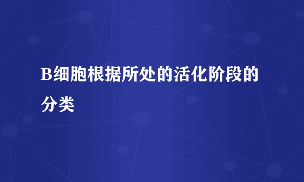 B细胞根据所处的活化阶段的分类