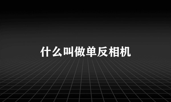 什么叫做单反相机