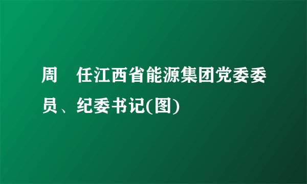 周犇任江西省能源集团党委委员、纪委书记(图)